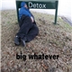 Big Whatever - Detox